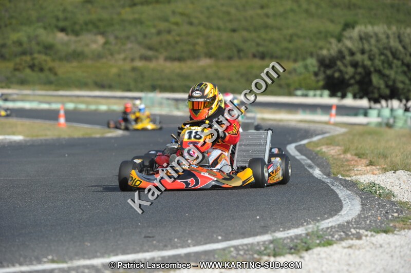 DSC (3993).JPG
